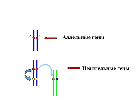 Генетика человека с основами медицинской генетики - online presentation