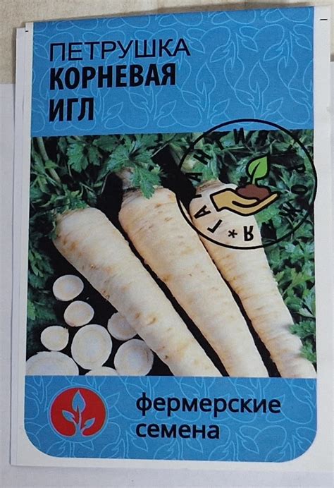 Сад Шубиной