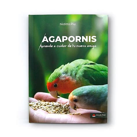 Agapornis Aprende A Cuidar De Tu Nuevo Amigo Loropets