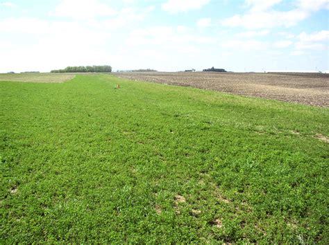 Water and Sediment Control Basins — Redwood Soil & Water Conservation