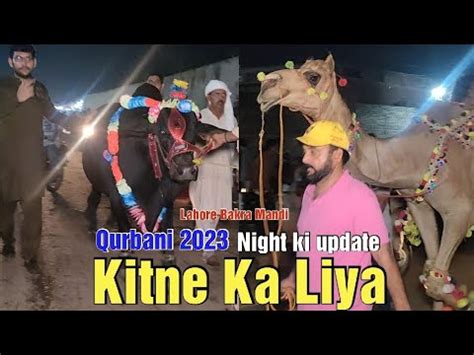 Kitne Ka Liya Night Update Qurbani Ka Janwar Shahpur Kanjra