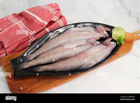 marble fisherman  res stock photography  images alamy