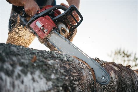 Bezirk Murau Landwirt Wurde Bei Forstarbeiten Von Baum Getroffen Murau