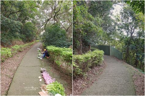 五酒桶山步道 桃園蘆竹親民級步道輕鬆走 假日來這踏青休閒又愉快 遇見天使~angela