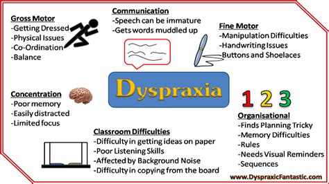 Occupational Therapy Strategies For Dyspraxic Students