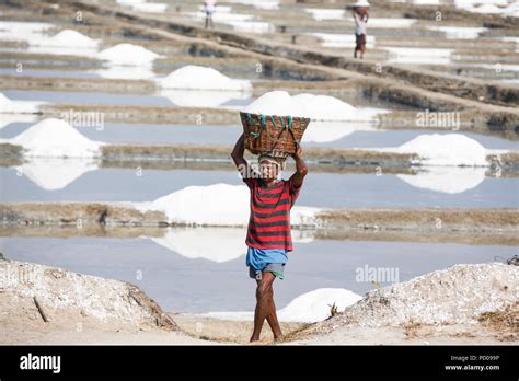 India Tamil Nadu Salt Production Hi Res Stock Photography And Images