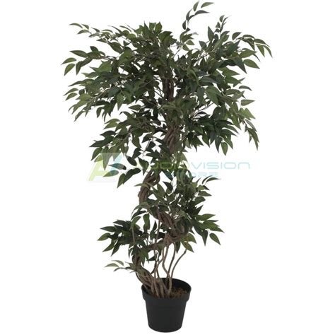 EUROPALMS Ficus Multiple Spiral Trunk Artificial Plant Green