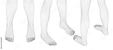 Beautiful Naked Man Poses Male Body 3d Wireframe Vector Stock Vector Adobe Stock