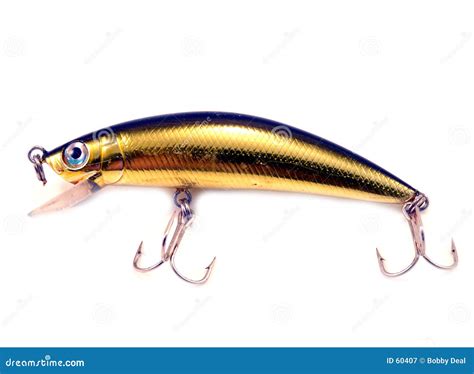 fishing lure stock image image  fishing rapala krockidile