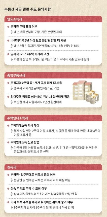 ‘1년 내 전입·기존 집 매각 하나라도 안 지키면 양도세 중과 서울신문