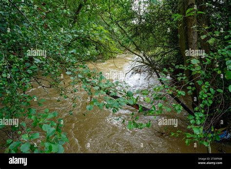 Small River In Flood After Heavy Rainfall As A Result Of Storm Babet