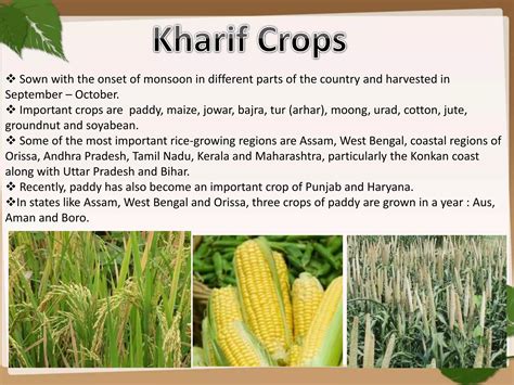 Agriculture -Geography - Class 10 | PPSX