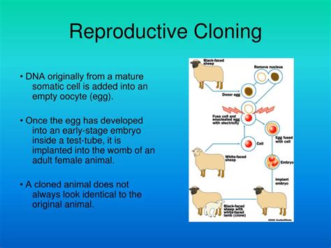 Ppt Introduction To Human Cloning Powerpoint Presentation Free Download Id 3738540