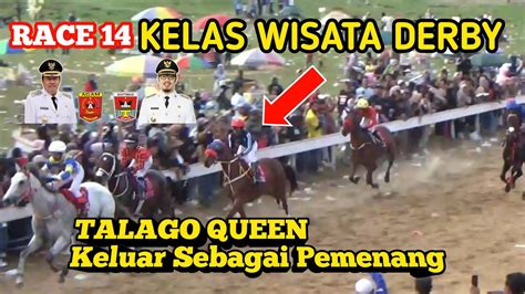 Kuda Pacu Wisata Derby Bukittinggi Agam Talago Queen Keluar Sebagai