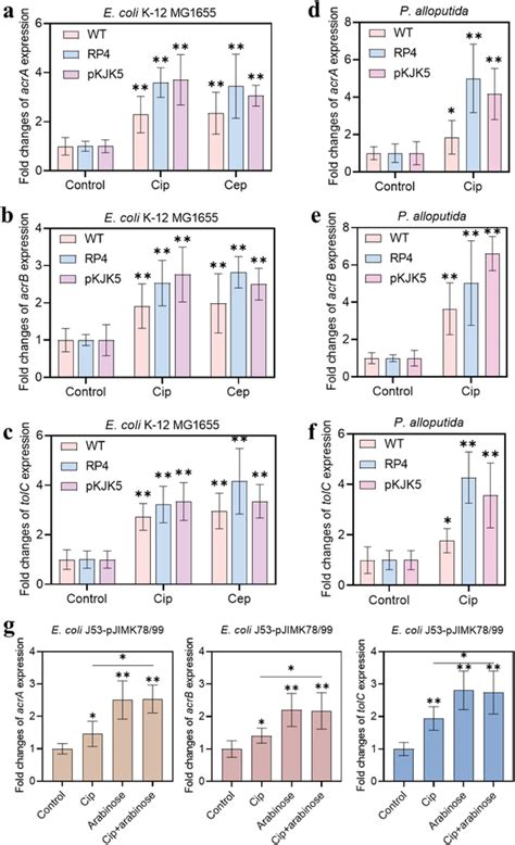 RTqPCR Analysis Of Efflux Pump Genes AcrA AcrB And TolC In Ac E