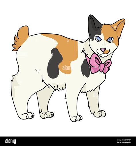 Lindo Dibujo Animado Japonés Bobtail Gato Con Lazo Rosa Vector Clipart Pedigrí Raza De Gatito