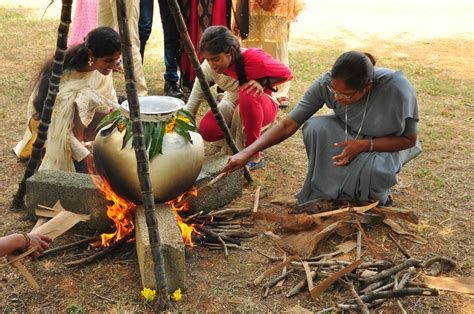 Pongal Festival , 2022