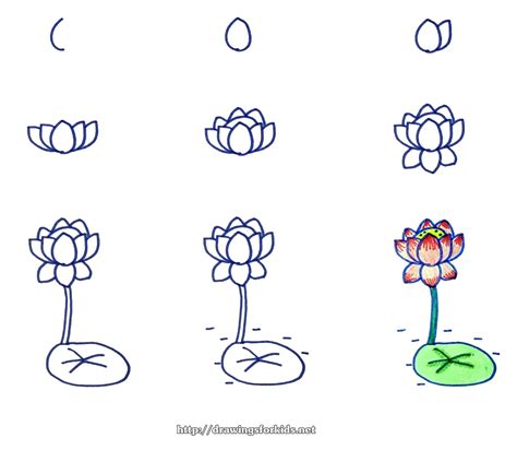 Lotus Flower Drawing Step By Step