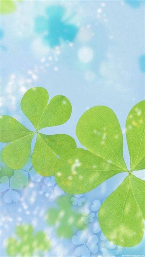 Four Leaf Clover Iphone Wallpaper