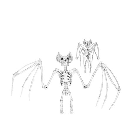 Bat Skeleton Drawing at PaintingValley.com | Explore collection of Bat Skeleton Drawing