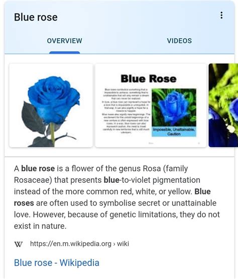 Blue Rose Color Meanings Price | www.pinnaxis.com