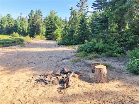 Harry Lake Campsite 1 In Algonquin Park Campsite Report