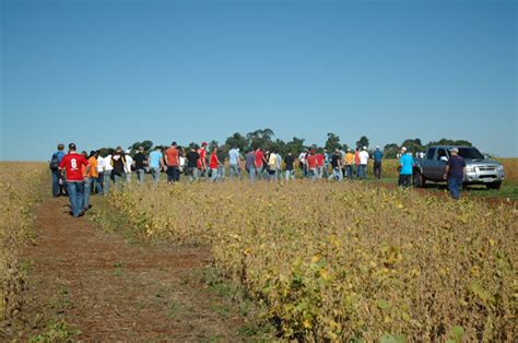 Dia De Campo 11 04 07 103 UNICRUZ Universidade De Cruz Alta