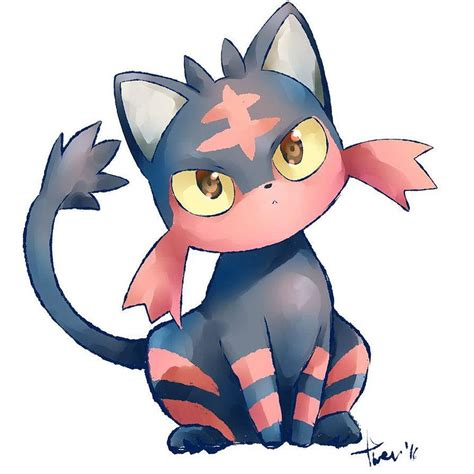 Litten Is Lit Litten And Backgrounds Hd Phone Wallpaper Pxfuel