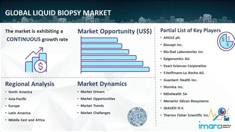 Liquid Biopsy Market Size Growth Share Analysis Report 2032