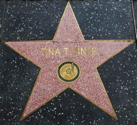 Tina Turner La Reine Du Rock And Roll Les 5 Meilleures Chansons