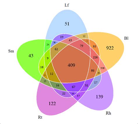 Venn Diagram Showing The Otus Shared Among Different Samples