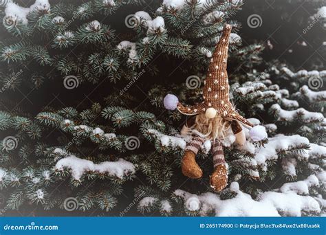 Christmas Gnome Gnomes On A Coniferous Tree Winter Atmosphere Snow