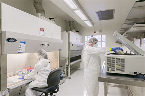 Bioseguridad Bsl 3 Laboratory Practices In The United States