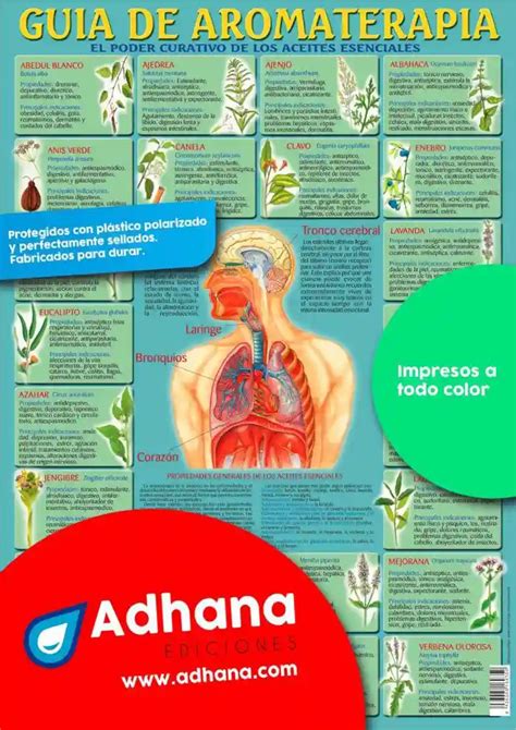 PÓSTER DE GUÍA DE AROMATERAPIA Adhana Láminas y póster educativos