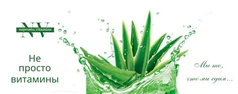 Не просто витамины 2024 | ВКонтакте