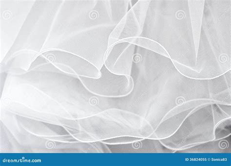 wedding bridal veil stock image image  dress gown