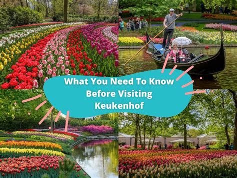 Keukenhof Gardens In June | Fasci Garden