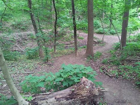 Cherokee Park trails.