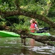 Excursión a los Manglares de Costa Rica Humedales Nacionales de