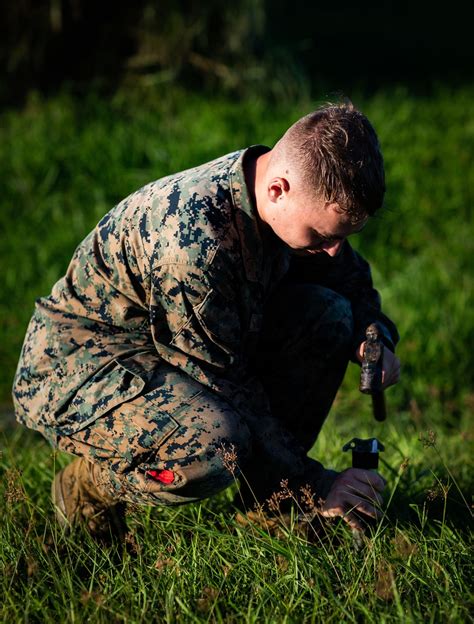 Dvids Images Marines With Lsp Clb Conduct Hst Operations Image