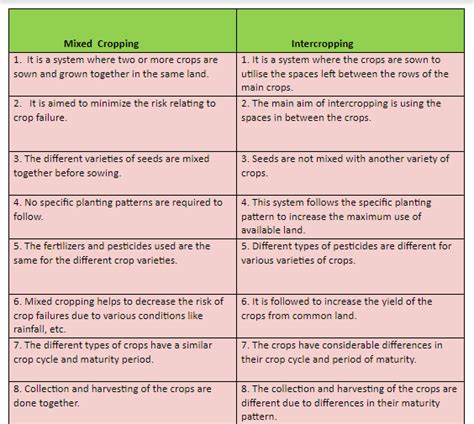 What are the differences between mixed cropping and intercropping?