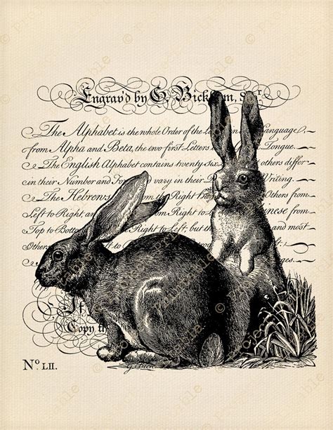 Vintage Rabbit Printables Printable Word Searches