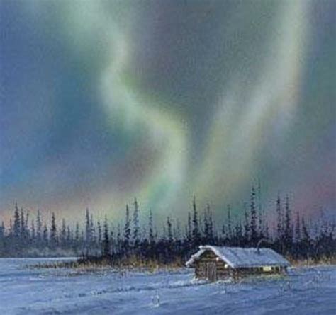 Cabin Northern Lights Fabric Panel 36x44 Alaskas Artist Joh Van Zyle