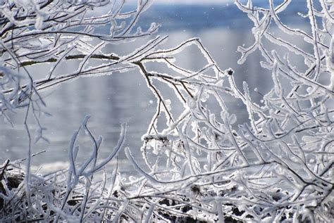 Zufälliges Winterfoto Foto And Bild Natur Jahreszeiten Bilder Auf