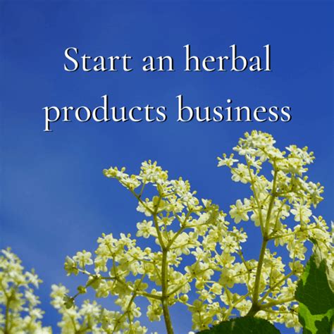 Start An Herbal Business CommonWealth Holistic Herbalism