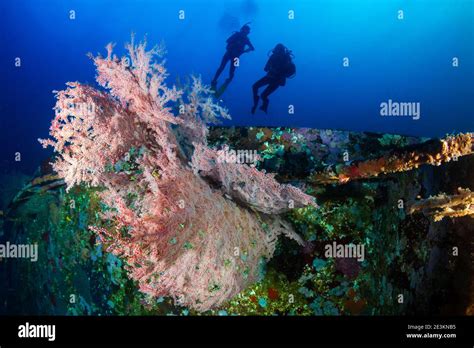 Scuba Divers Exploring A Deep Underwater Shipwreck Stock Photo Alamy