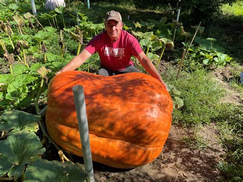 The Art And Science Of Growing Giant Fruits And Vegetables News