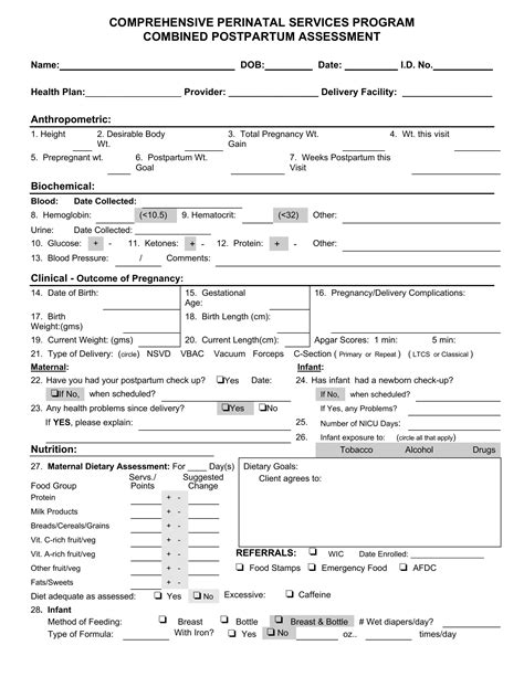 Postpartum Assessment Example Pdf Form Formspal