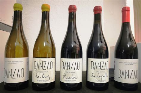 Silvia Marrao Barreiro En Le N Vinos D O Bierzo