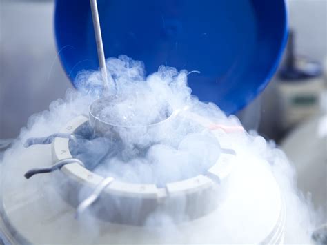 How The Fate Of Five Frozen Embryos Are Changing Divorce Law